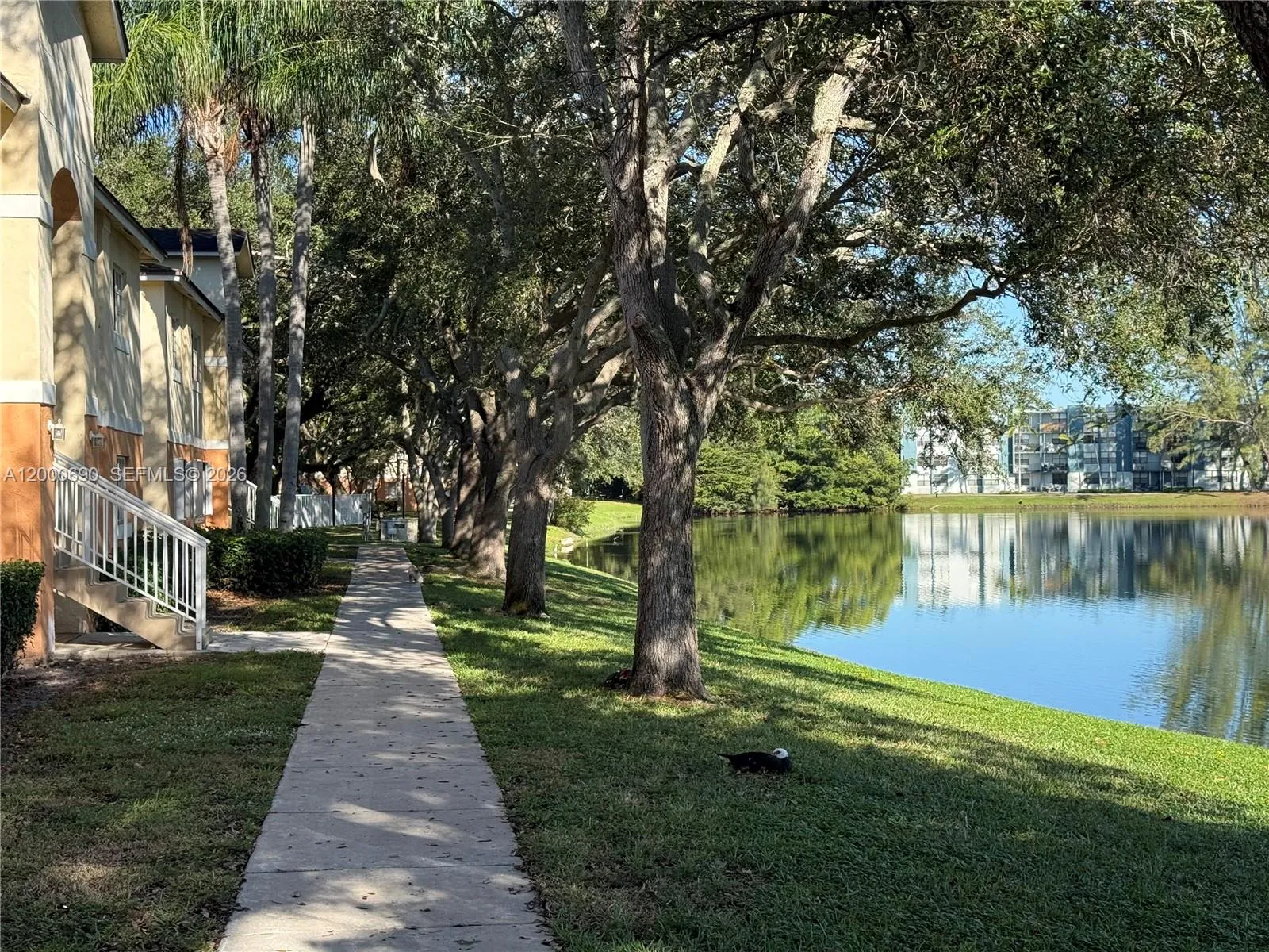 3670 N 56th Ave # 705, Hollywood FL 33021