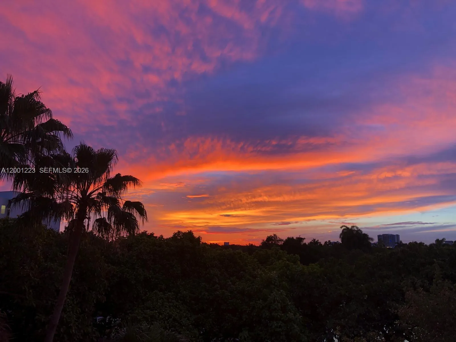 280 SW 20th Rd # 504, Miami FL 33129