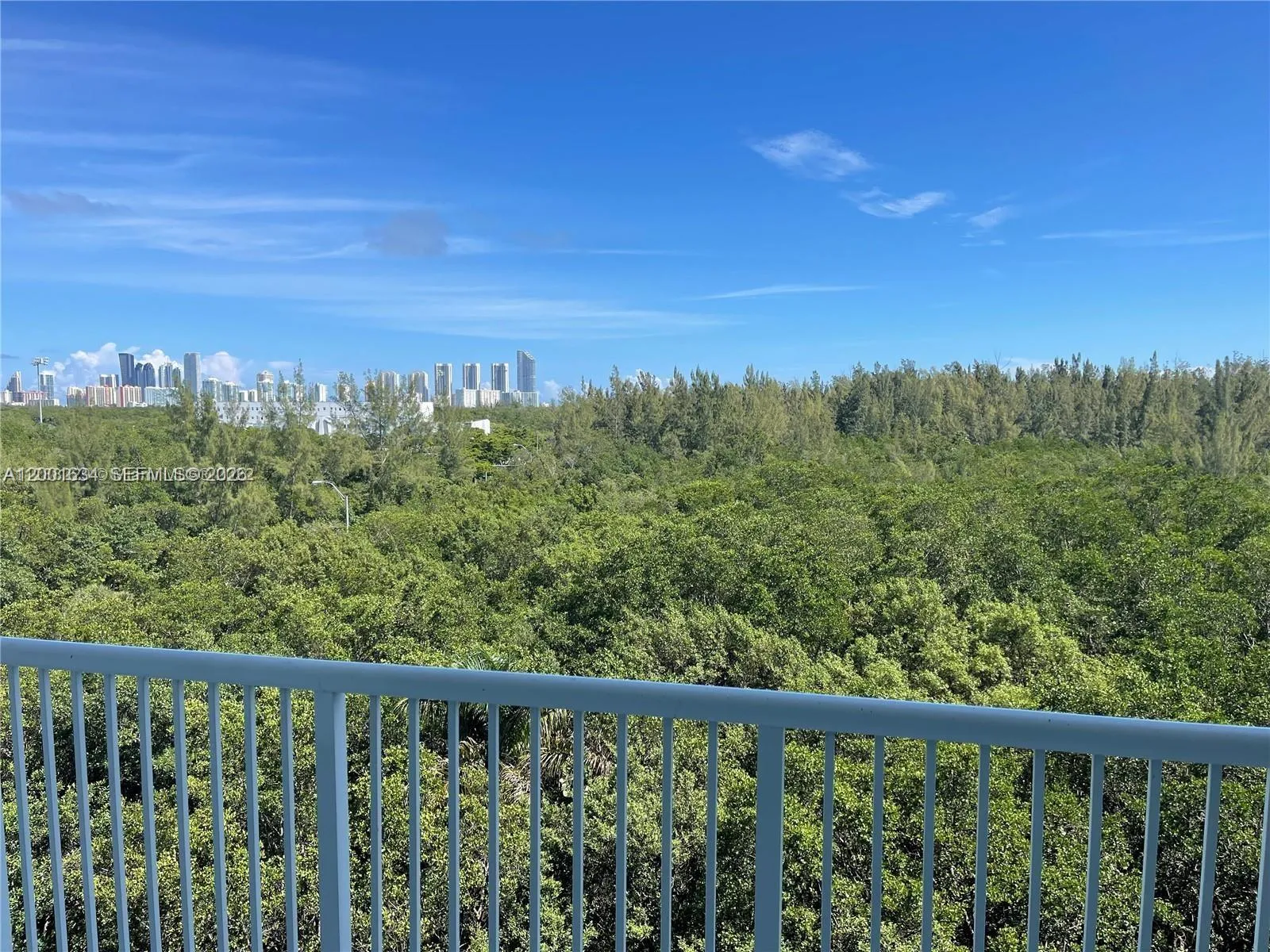 15051 ROYAL OAKS LN # 601, North Miami FL 33181