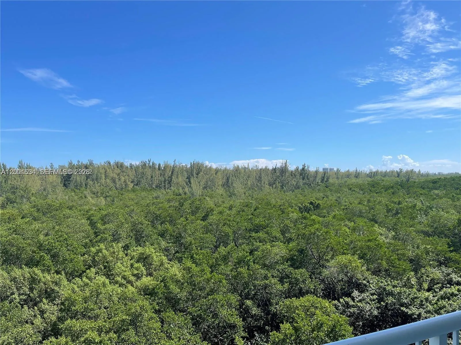 15051 ROYAL OAKS LN # 601, North Miami FL 33181