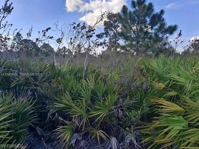 2708 38 ST W, Lehigh Acres FL 33971