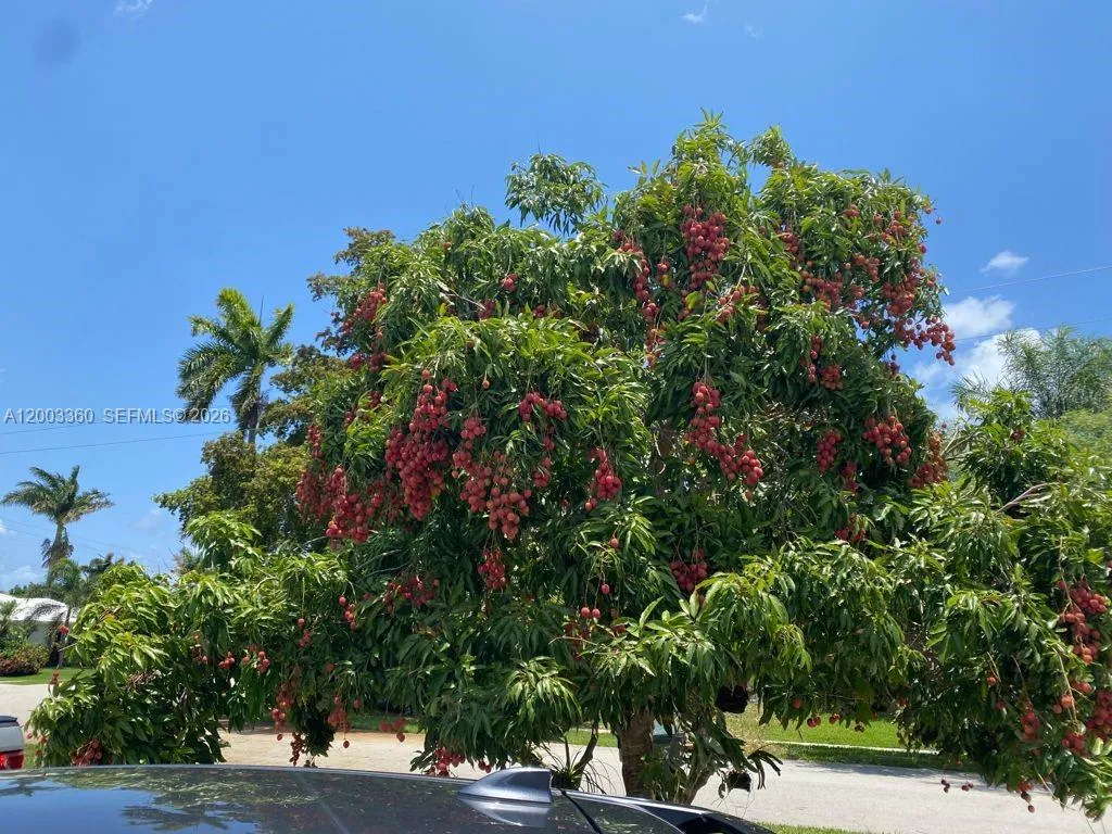 1251 SW 11th Ter, Boca Raton FL 33486