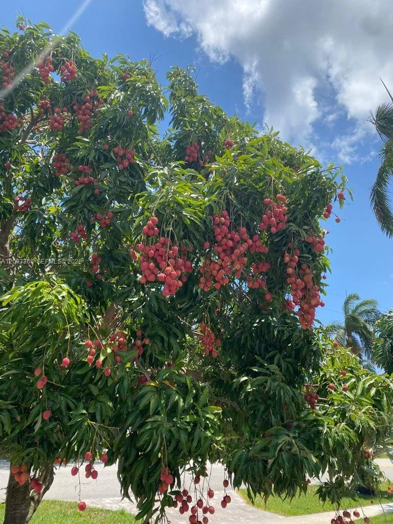 1251 SW 11th Ter, Boca Raton FL 33486