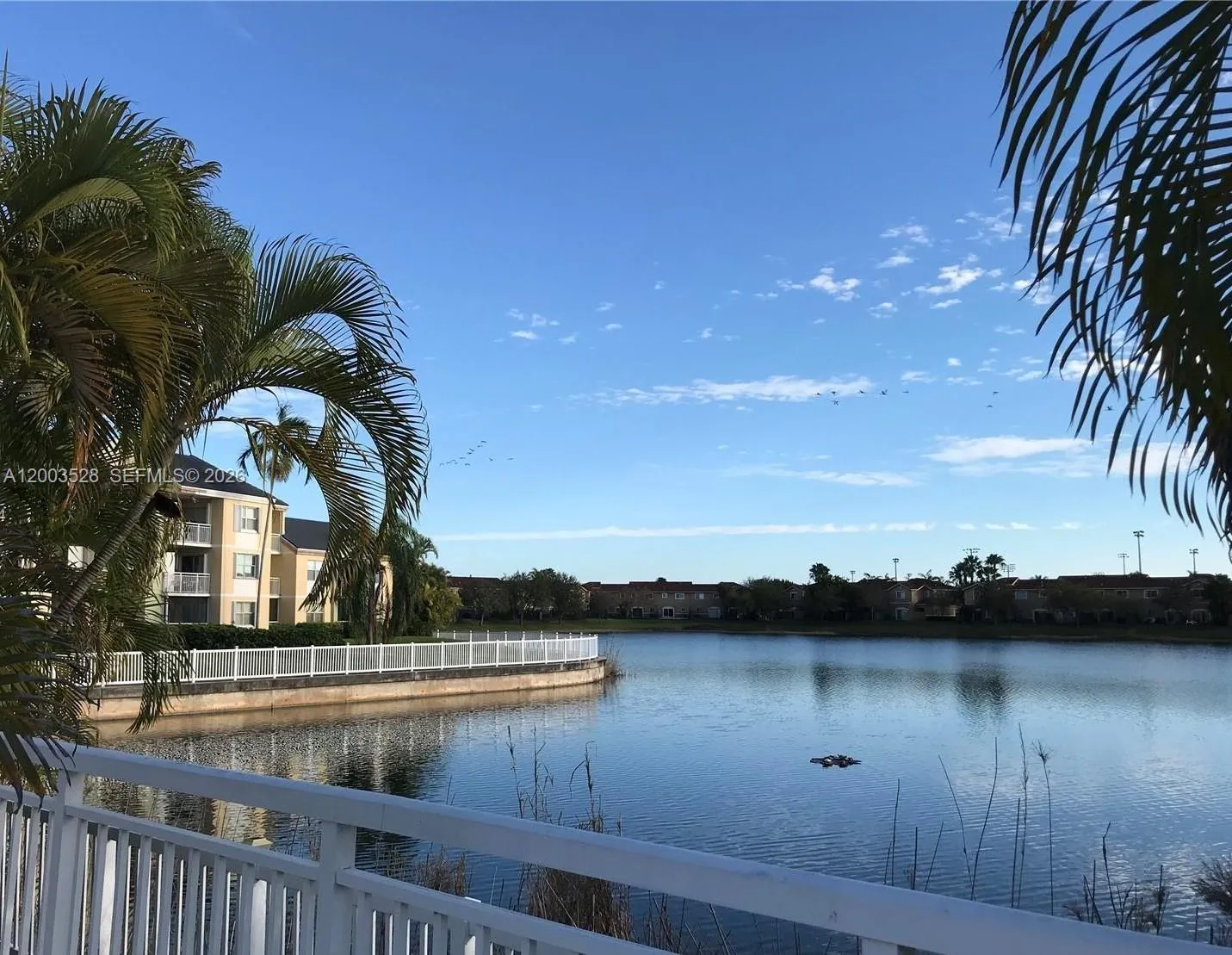 8500 SW 212th St # 207, Cutler Bay FL 33189