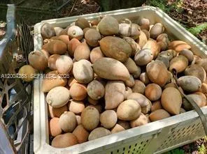 15300 SW 193, Kendall FL 33187