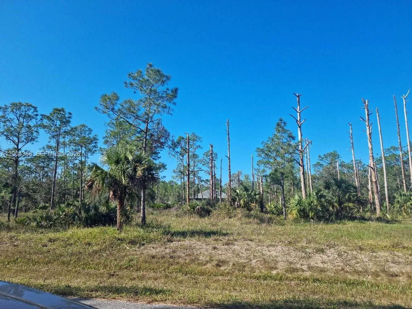 2309 Wellington Ave, Other City - In The State Of Florida FL 33920