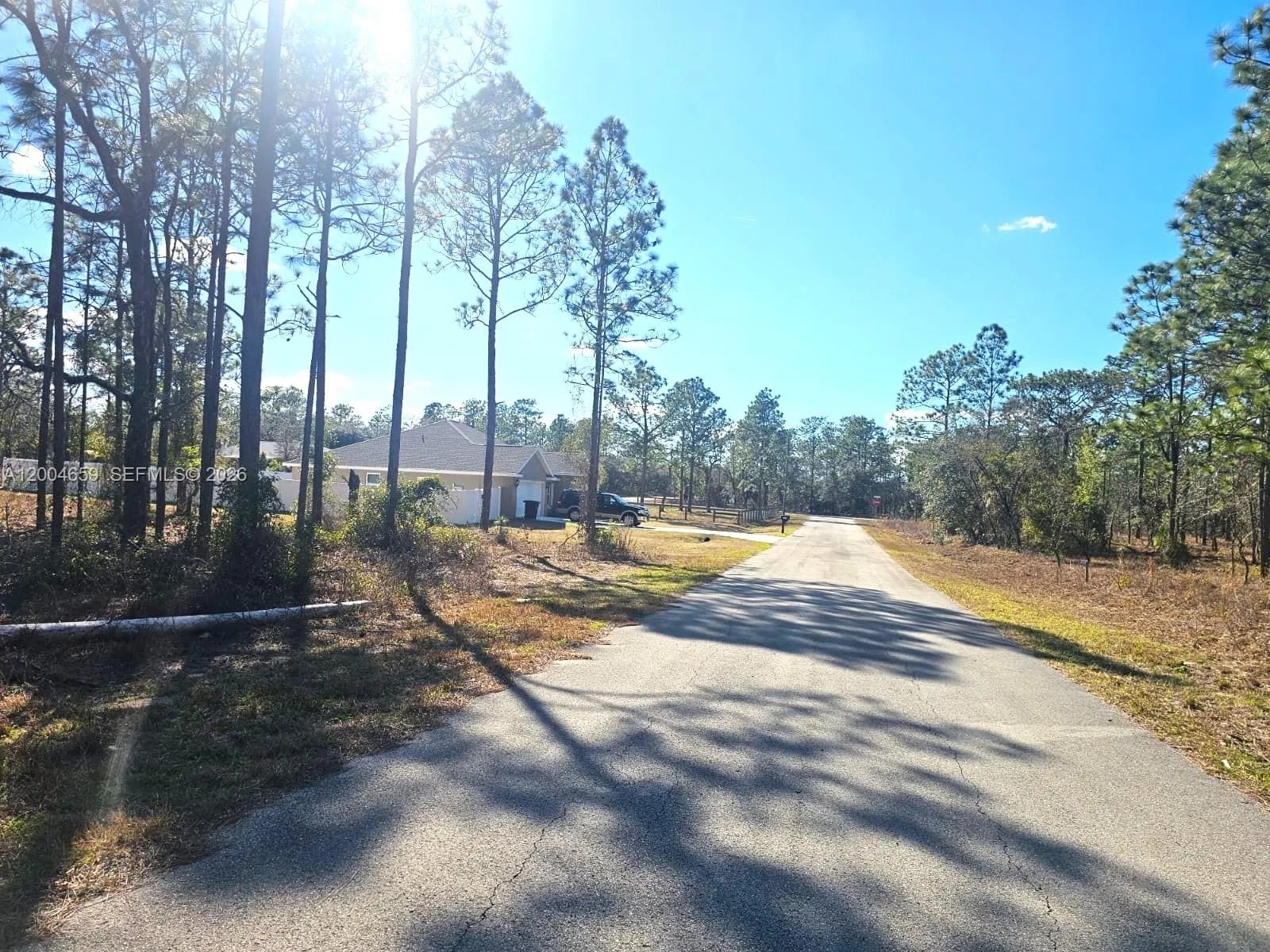 NO Situs NW Shamrock AVE, Other City - In The State Of Florida FL 34431