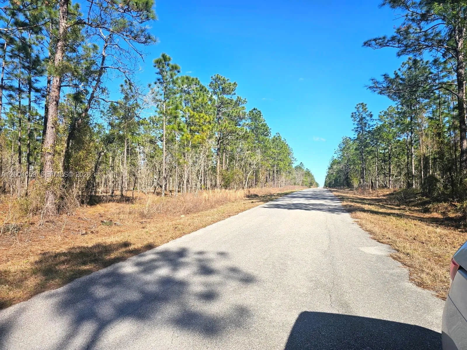 NO Situs NW Shamrock AVE, Other City - In The State Of Florida FL 34431