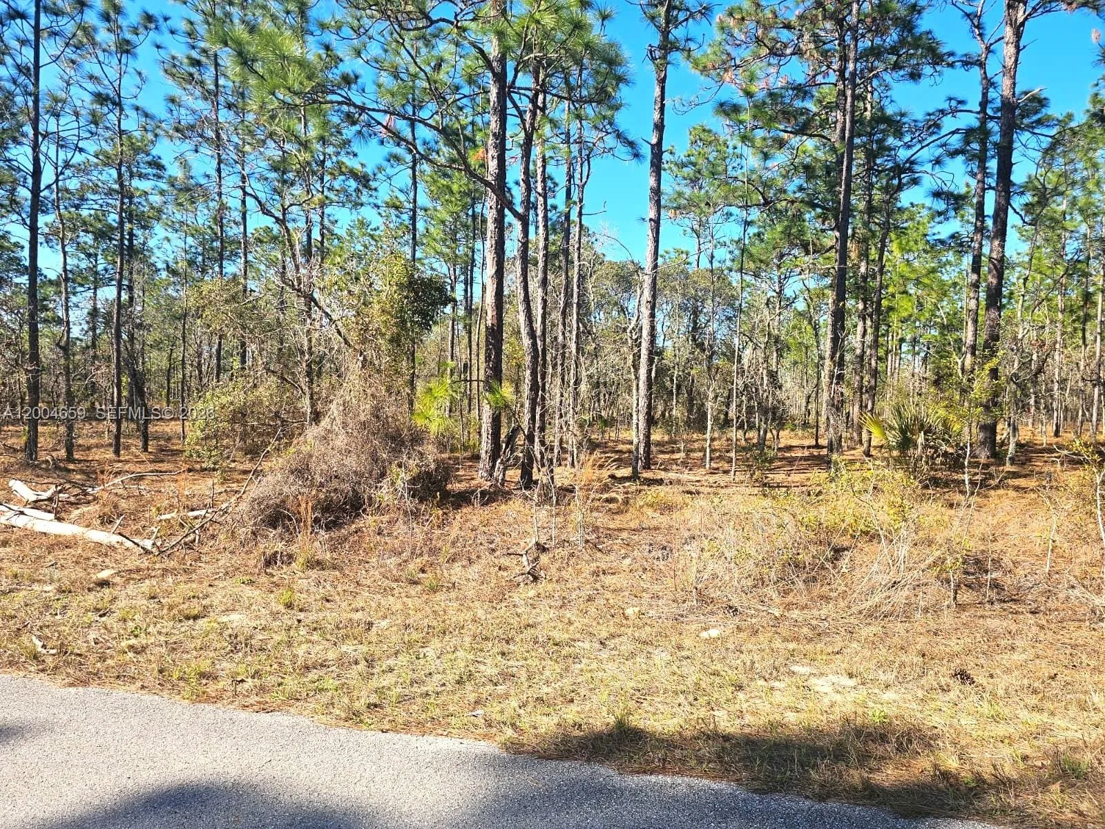 NO Situs NW Shamrock AVE, Other City - In The State Of Florida FL 34431