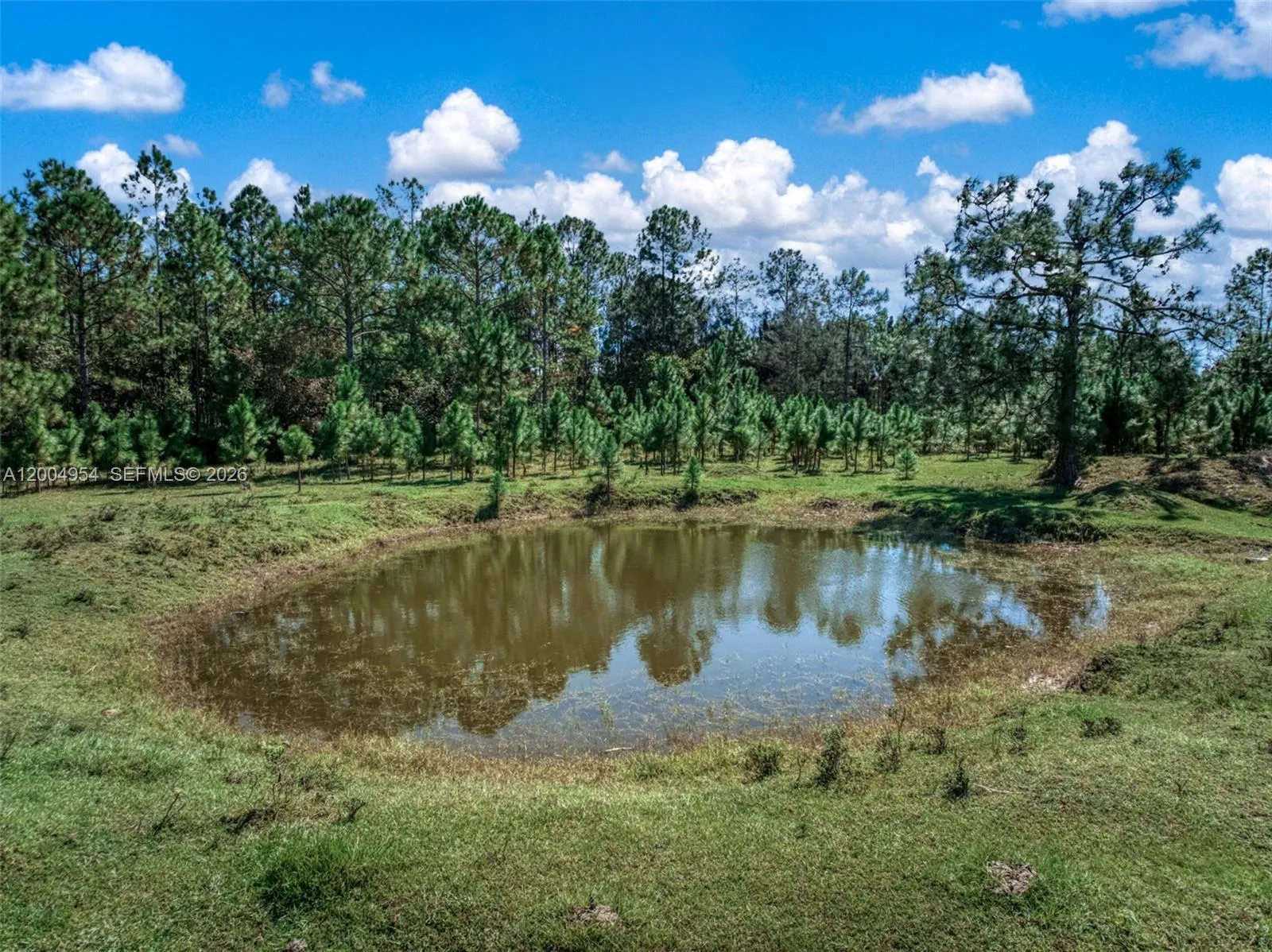 2316 Gem Stone, Sebring FL 33857