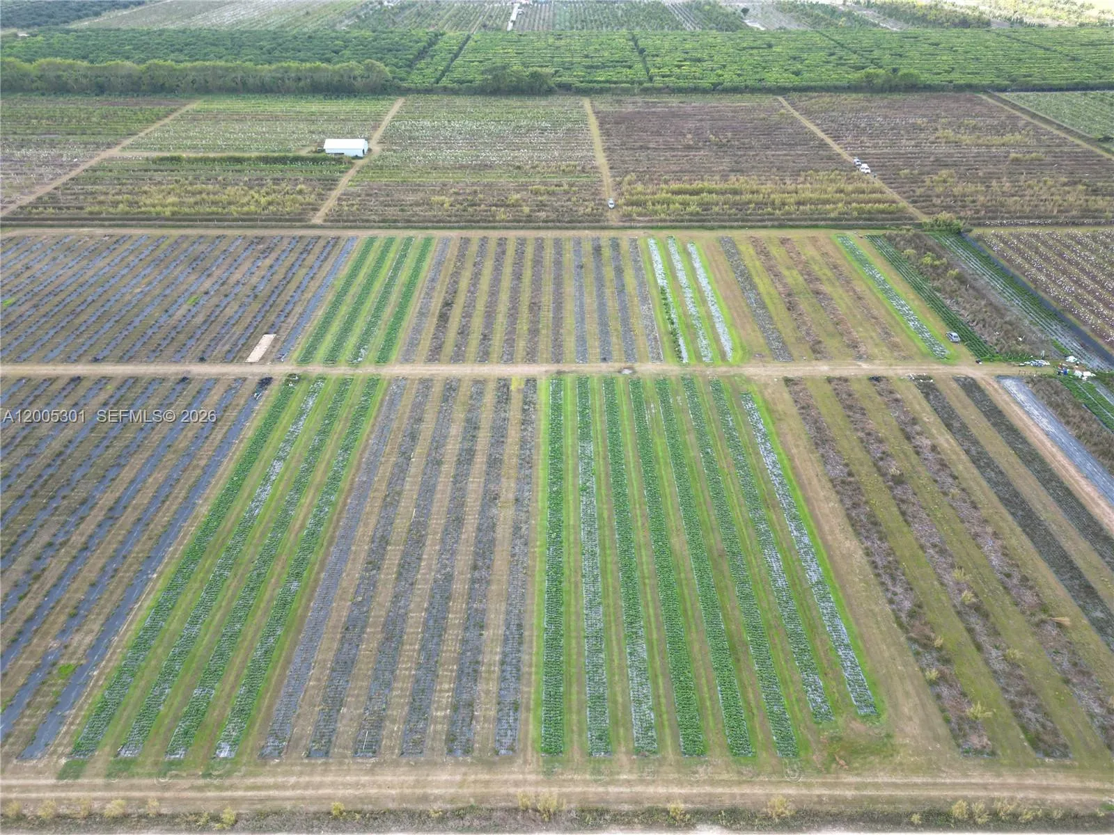 34000 SW 222th Ave, Homestead FL 33034