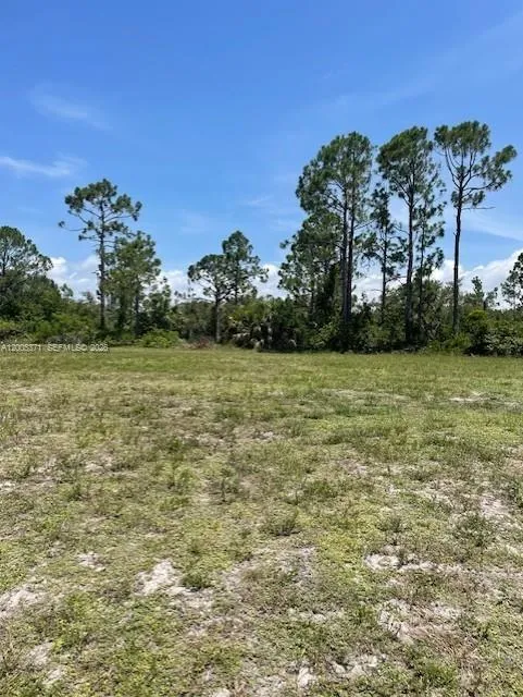 1616 NW 25 LN, Cape Coral FL 33993