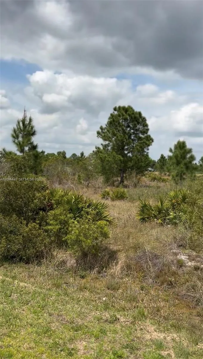 for sale at 2458 W Butkus Rd, Avon Park FL 33825