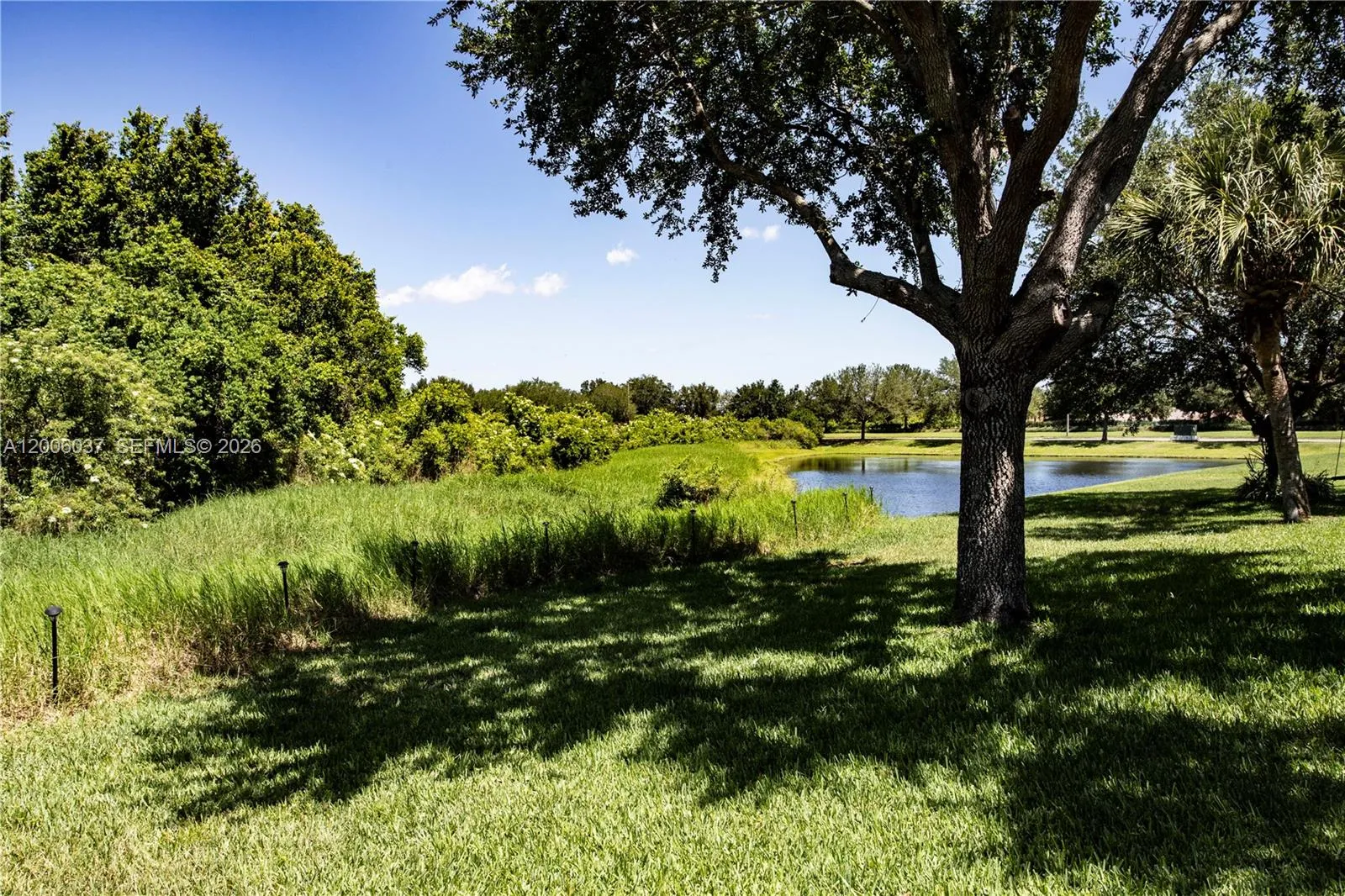 11413 MOUNTAIN BAY DR, Riverview FL 33569