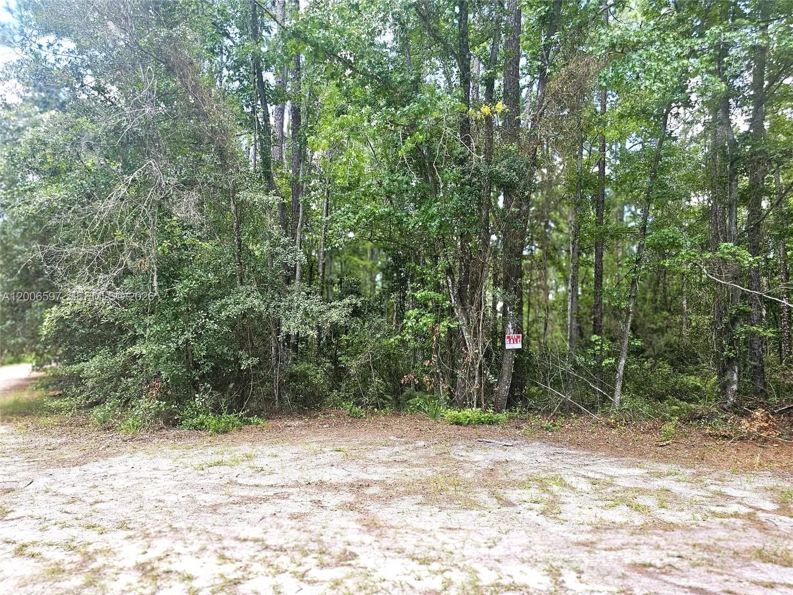 No situs SE 2nd ST, Palatka FL 32177