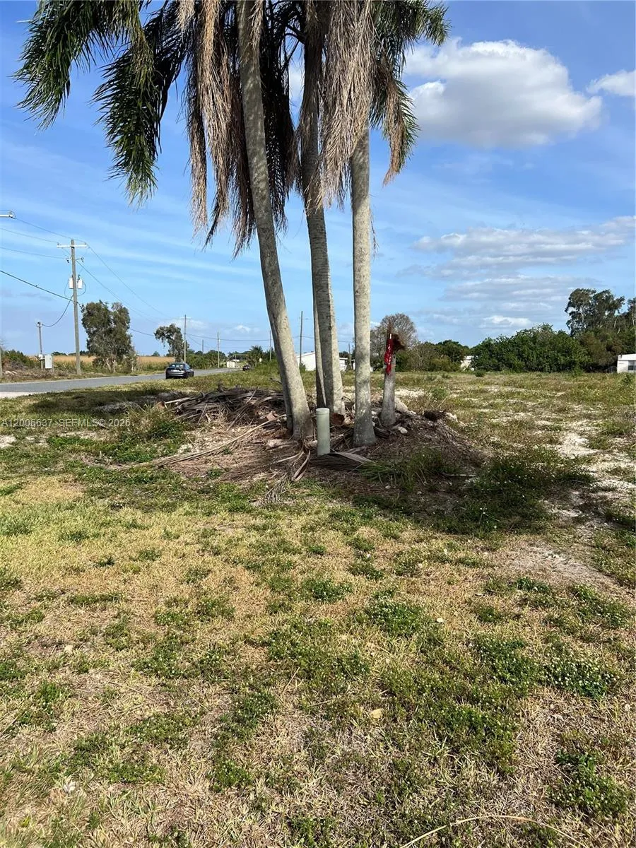 1510 River Road, Moore Haven FL 33873