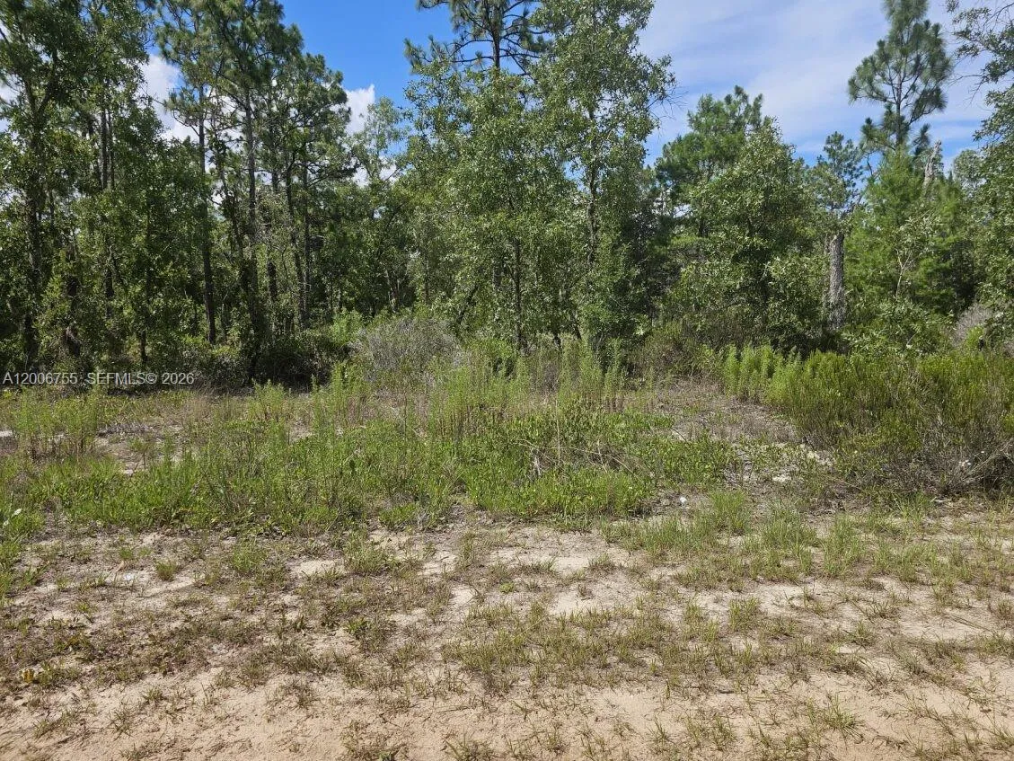 136 Utah ST, Palatka FL 32640