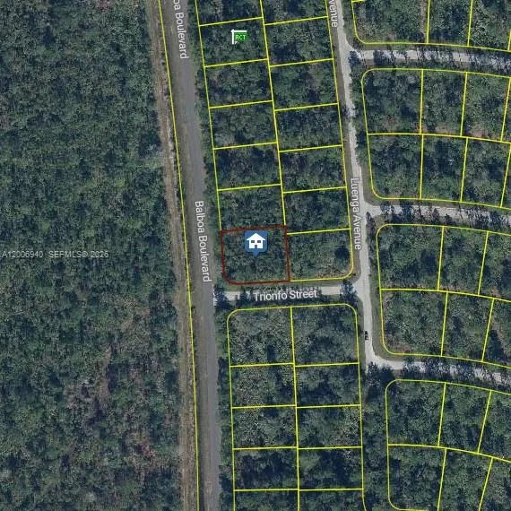 8600 TRIONFO ST, Other City - In The State Of Florida FL 33872