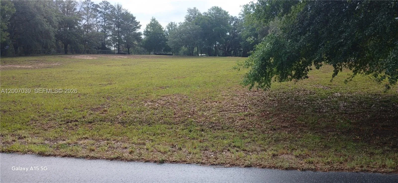 10233 S Appaloosa Ave, Other City - In The State Of Florida FL 34436