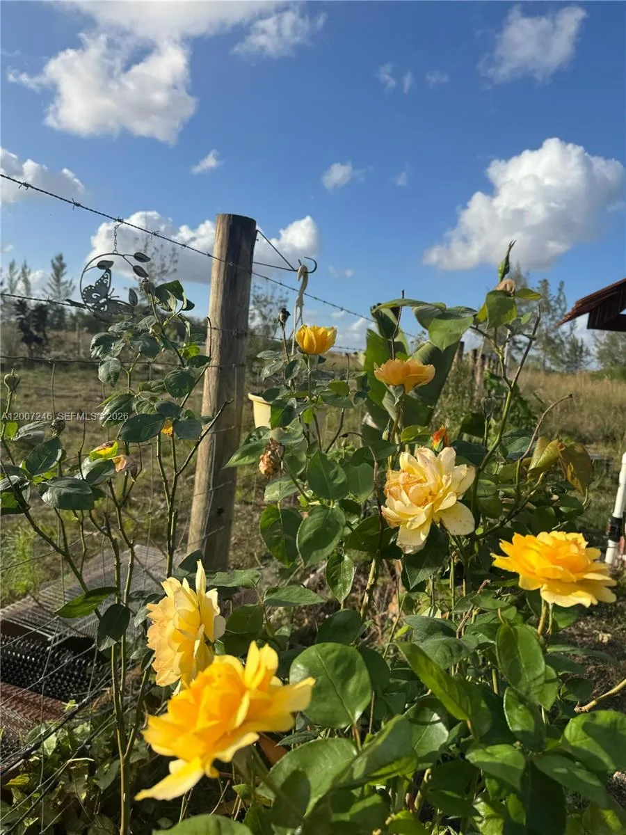 14370 SW 208 AVE, Miami FL 33196