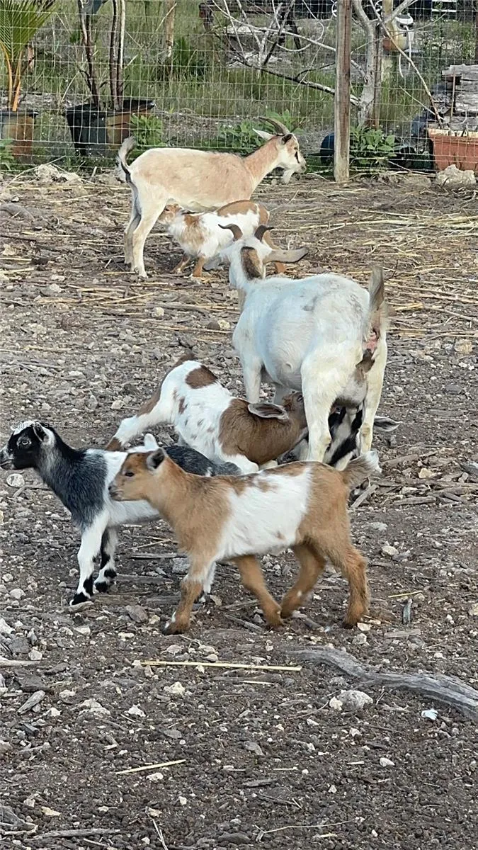 14370 SW 208 AVE, Miami FL 33196