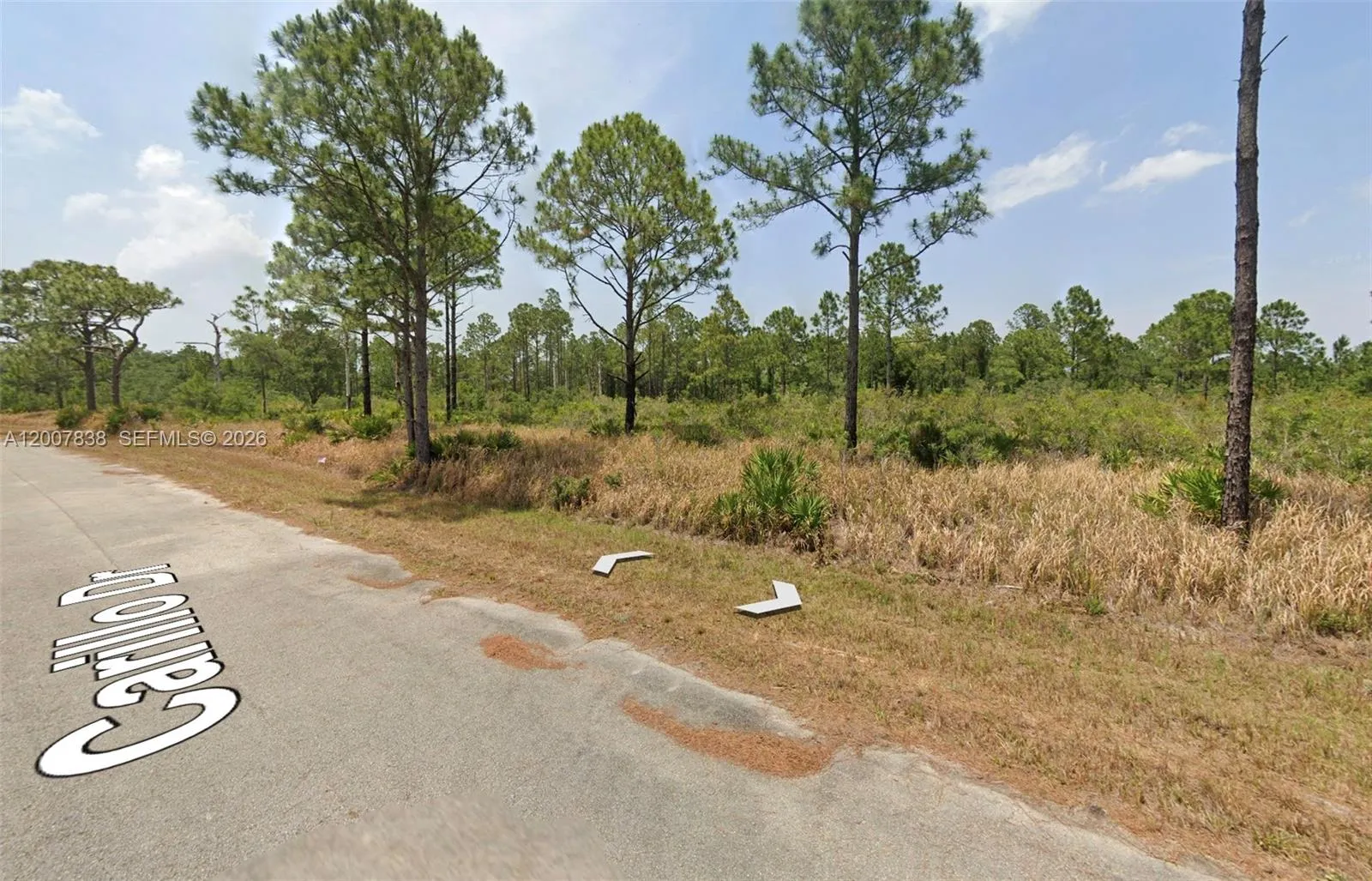 8134 CARILLO DR, Sebring FL 33872