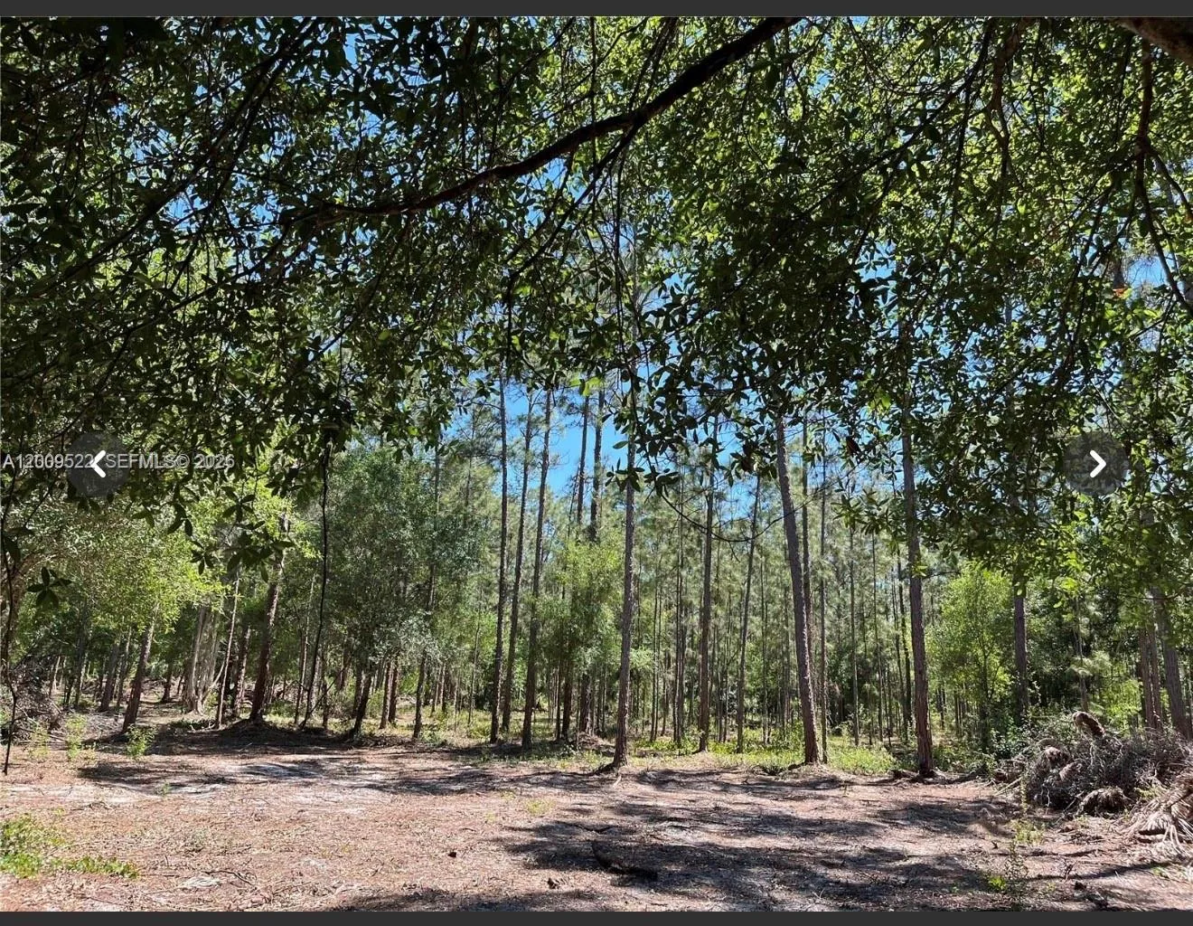 5120 18TH PIONEER, Clewiston FL 33440