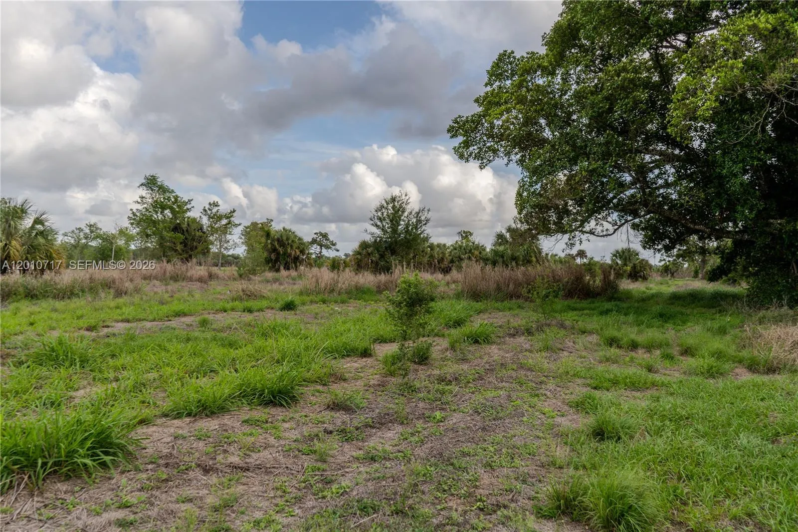 3921 Ft. Denaud Rd, La Belle FL 33935
