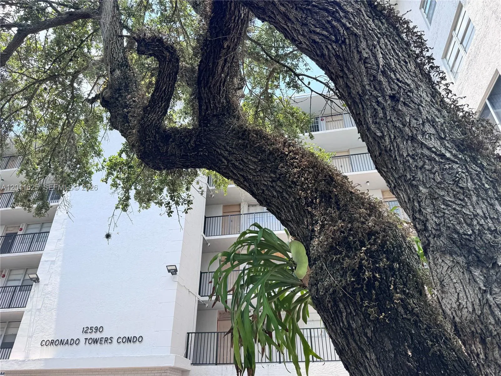 12590 NE 16th Ave # 209, North Miami FL 33161