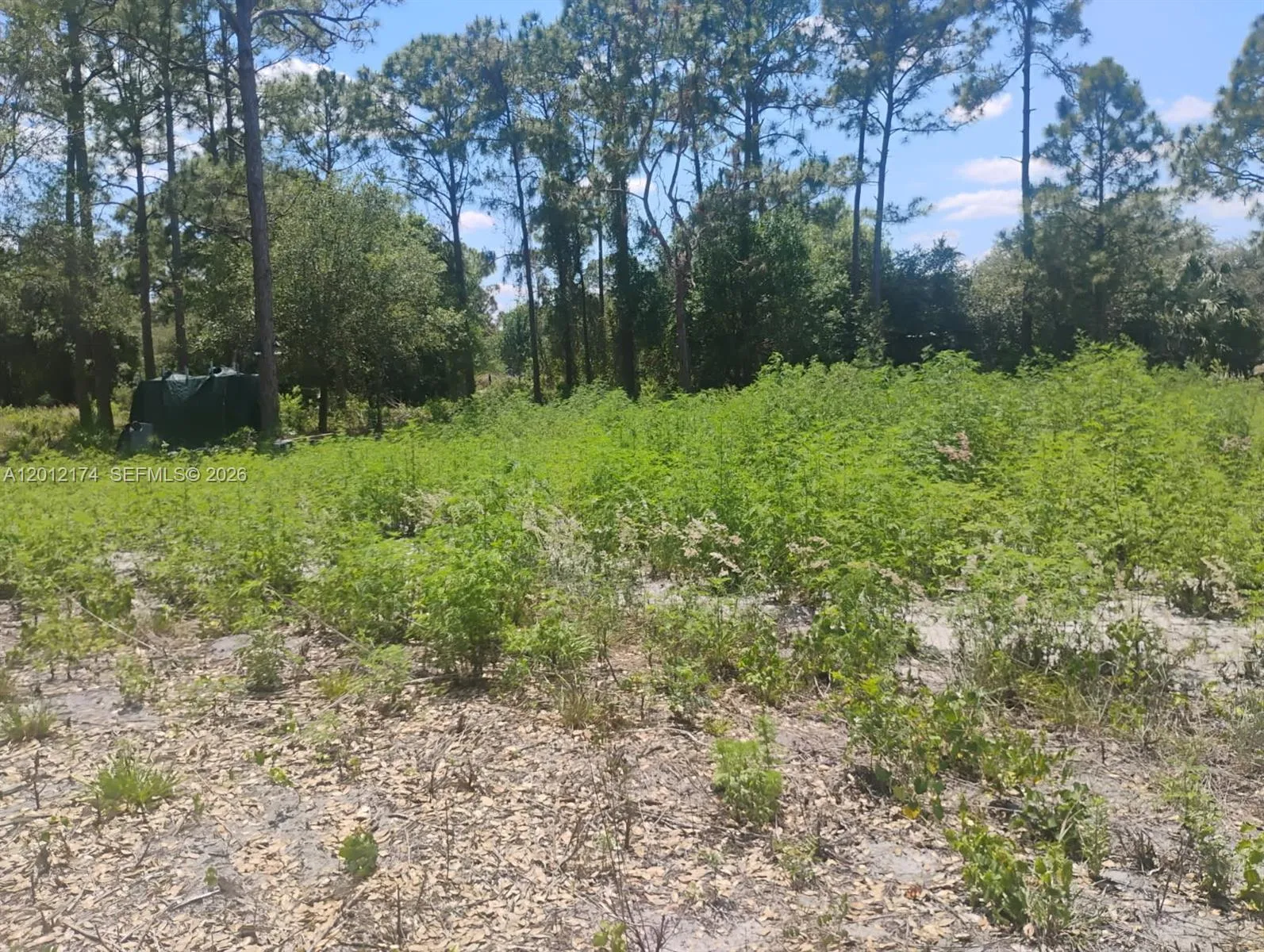 640 N RIVERSIDE ST, Clewiston FL 33440