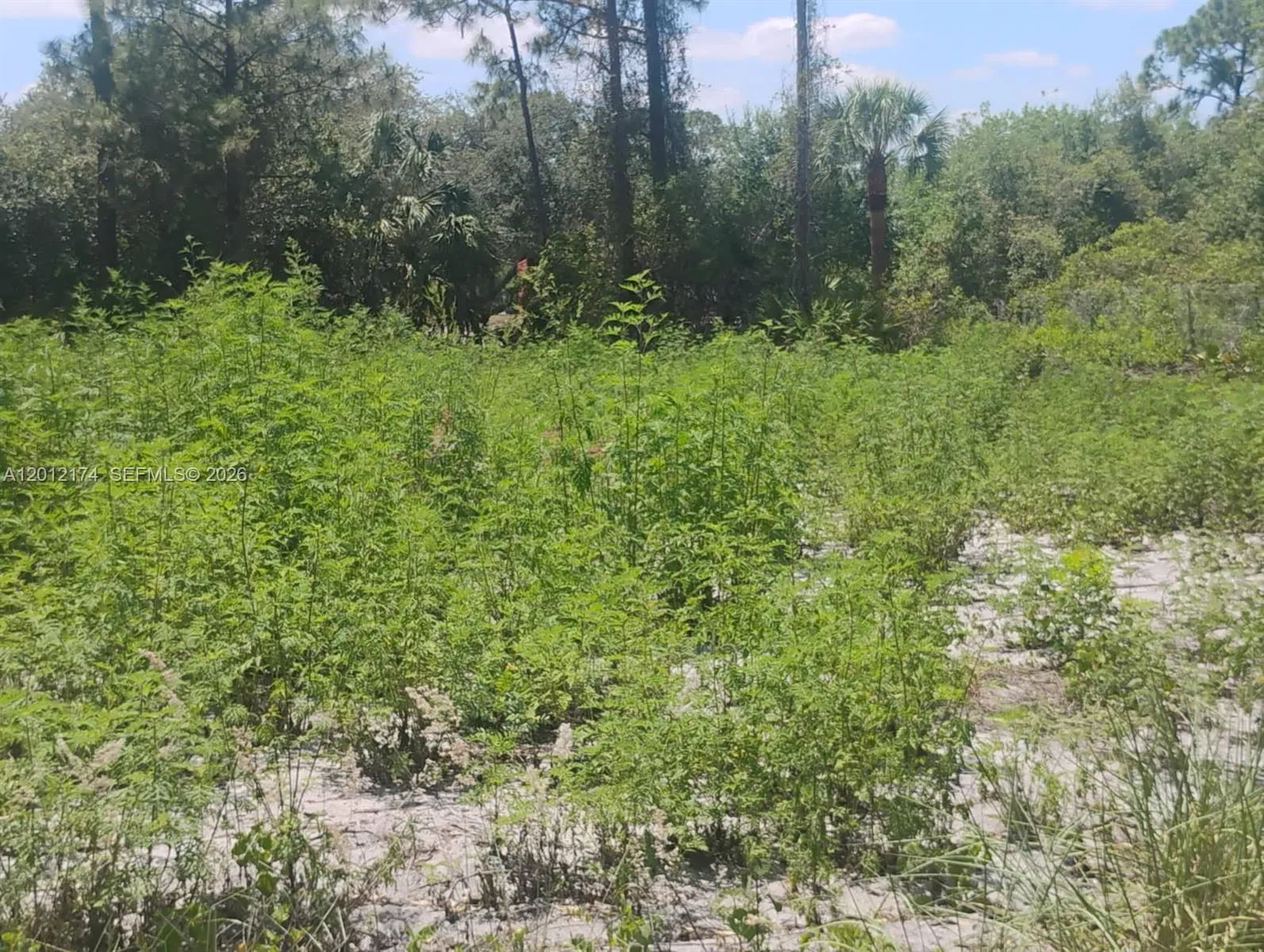 640 N RIVERSIDE ST, Clewiston FL 33440