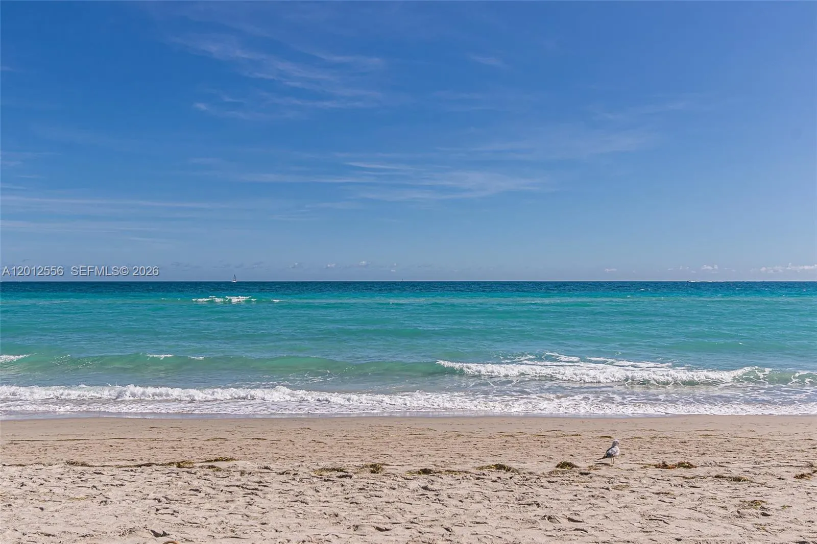1801 S Surf Rd # 4A, Hollywood FL 33019
