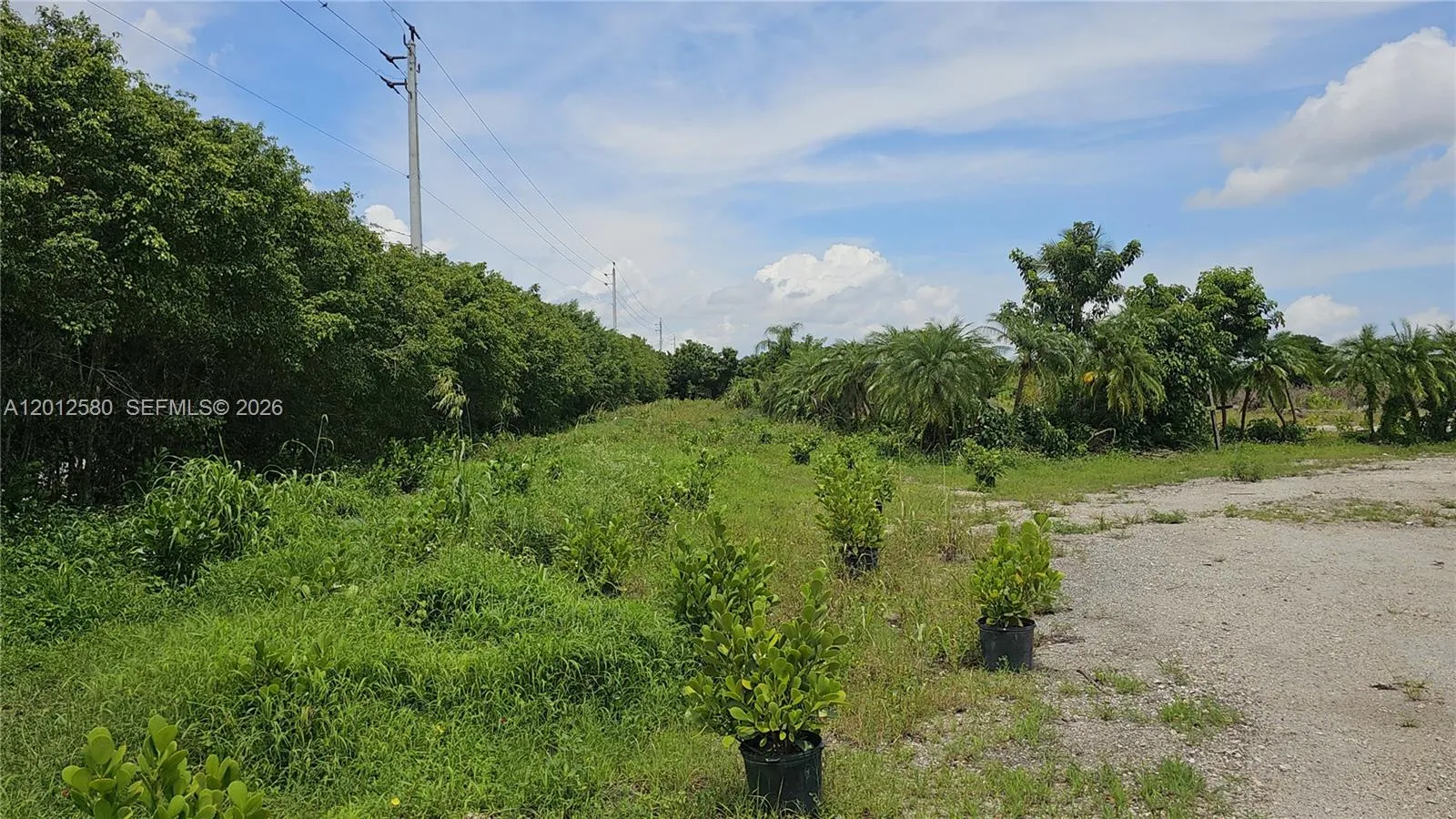 SW 210th TERRACE, Southwest Ranches FL 33332