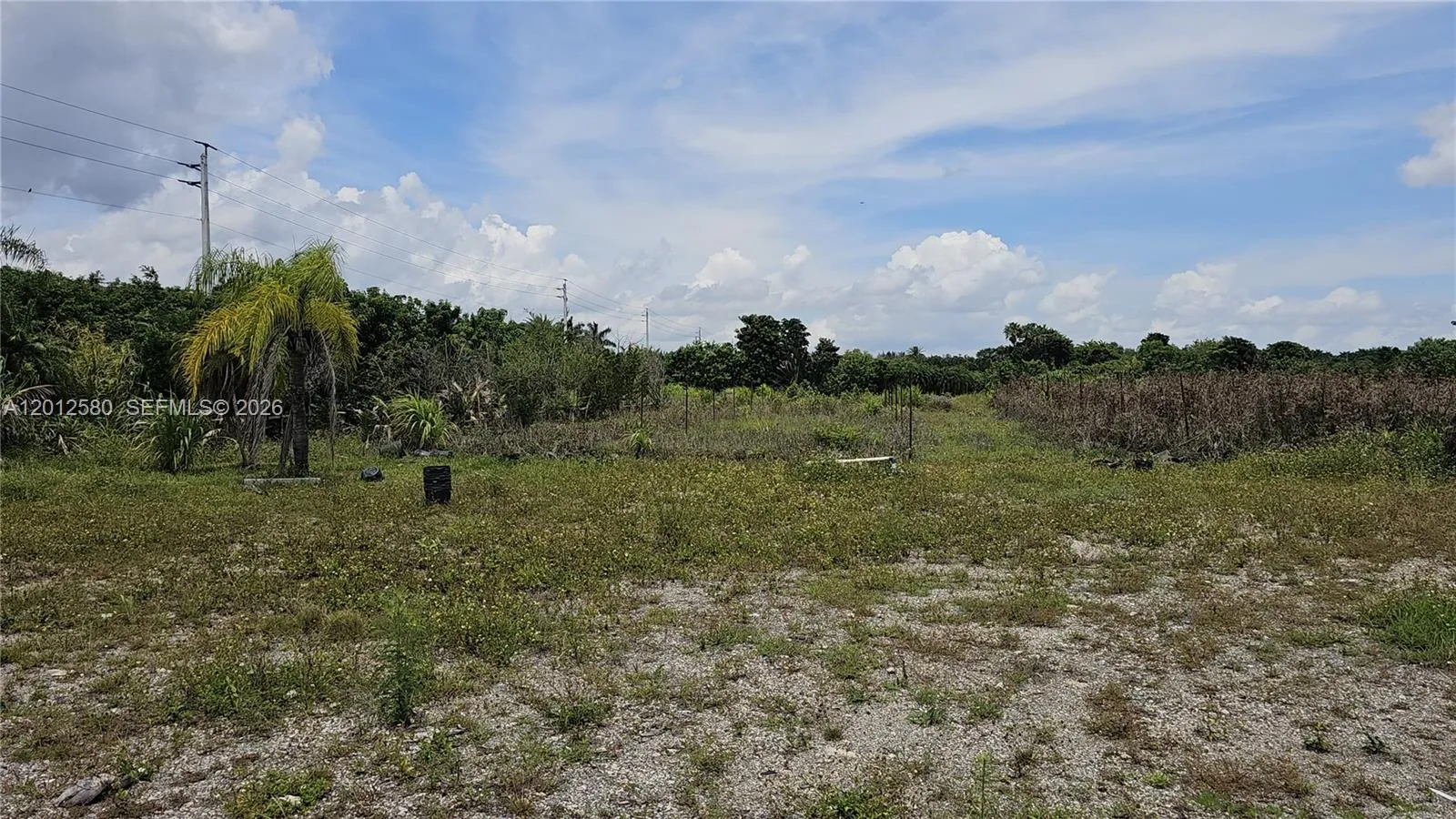 SW 210th TERRACE, Southwest Ranches FL 33332