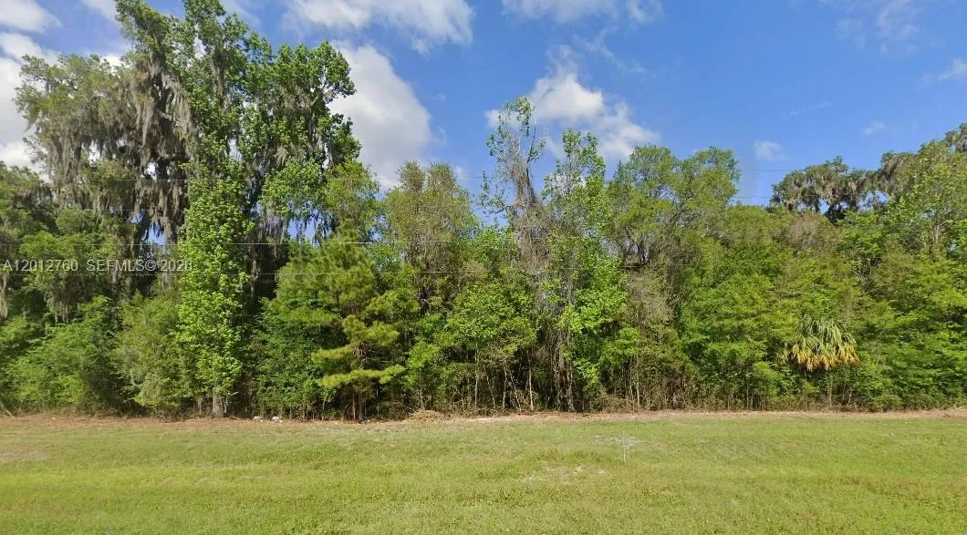 Commercial Land for sale at N Highway 27, Ocala FL 34482