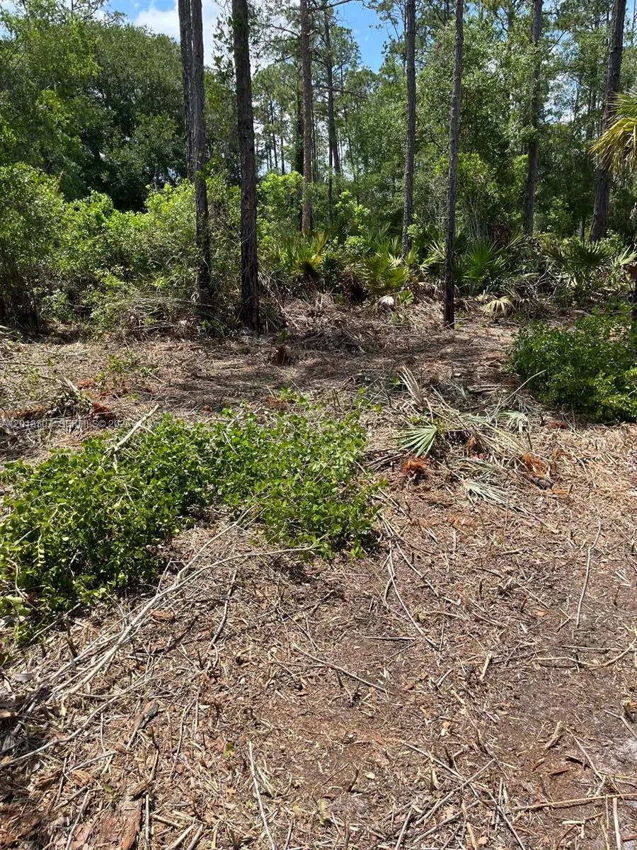 117 Lodge Pole Cir, Other City - In The State Of Florida FL 32139