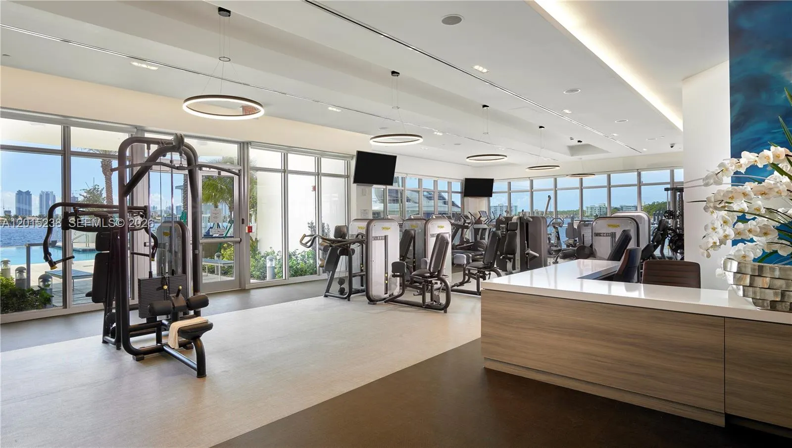 17301 Biscayne Blvd # 203, North Miami Beach FL 33160