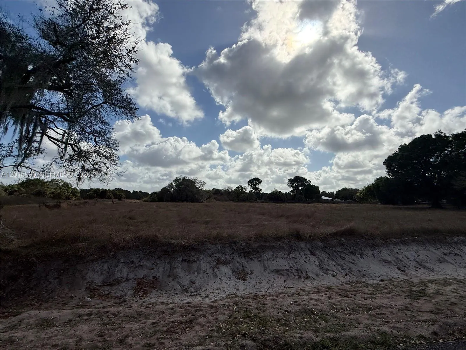 235 &  225 S ARBOLEDA ST, Clewiston FL 33440