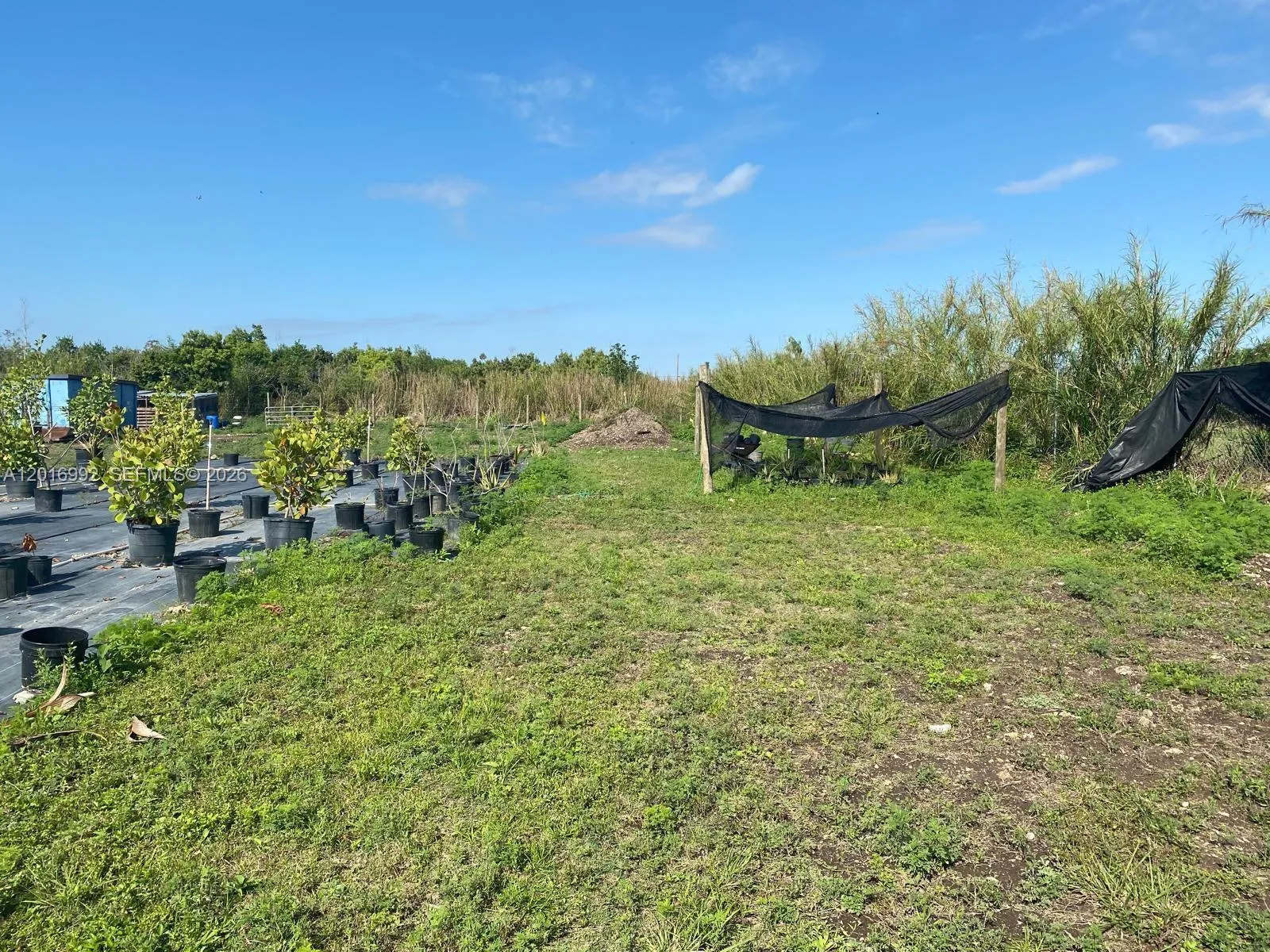 15542 SW 212th Ave, Miami FL 33187
