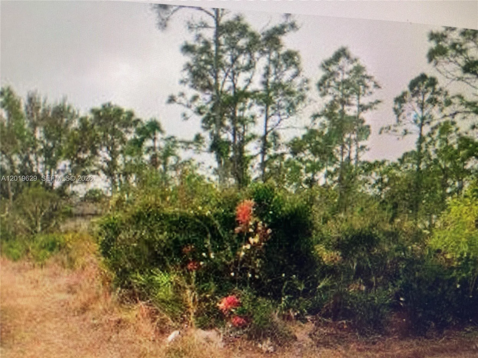 for sale at 27183 N TWIN LAKES DR, Punta Gorda FL 33955