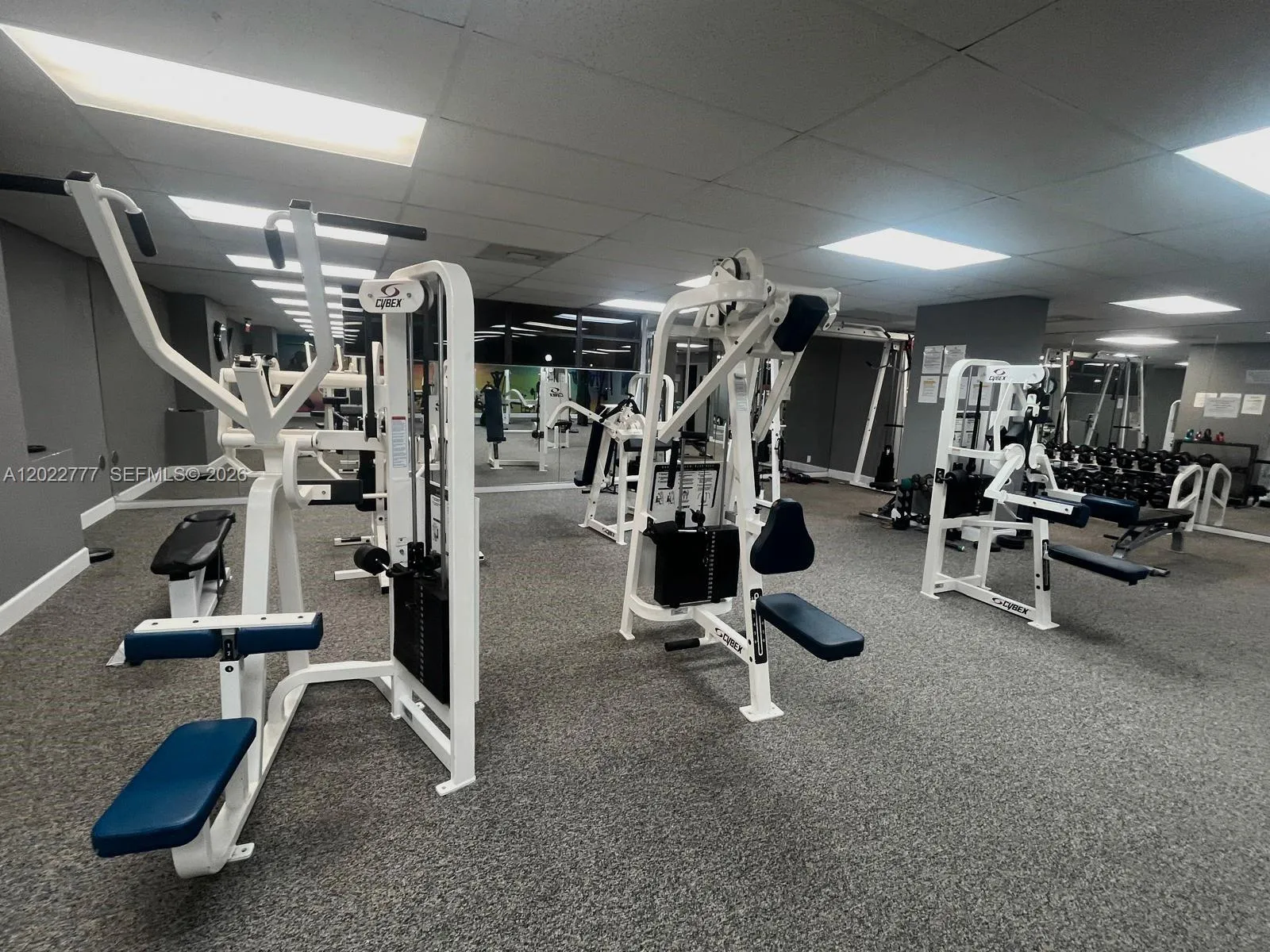 200 Leslie Dr # 324, Hallandale Beach FL 33009