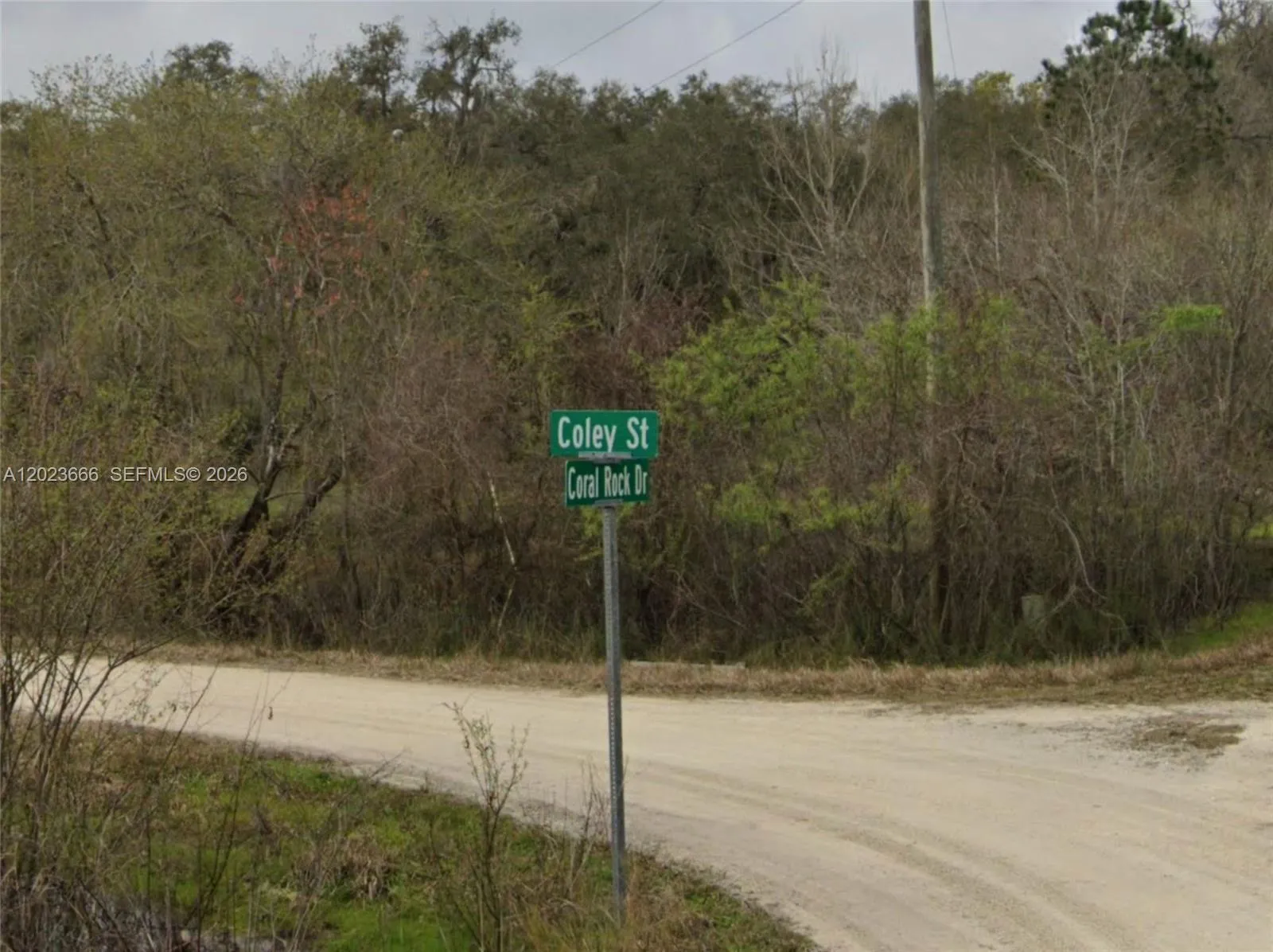 0 Coley St, Other City - In The State Of Florida FL 33697
