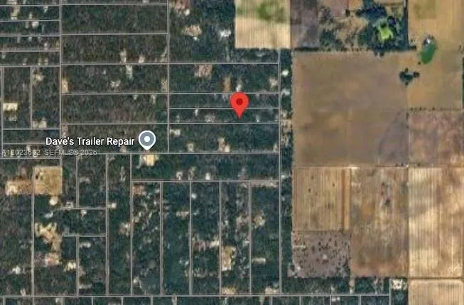 Lot 47 Shamrock Avenue, Other City - In The State Of Florida FL 34431