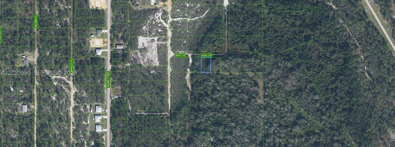 817 Neal, Sebring FL 33875