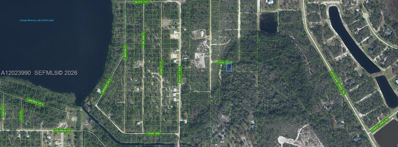 817 Neal, Sebring FL 33875