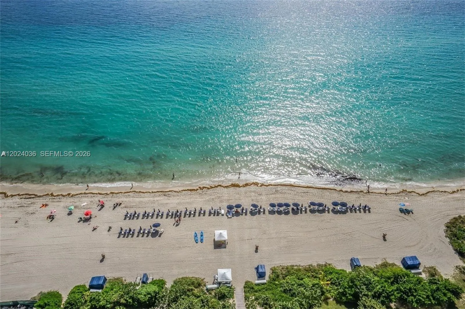 17121 Collins Ave # 1503, Sunny Isles Beach FL 33160