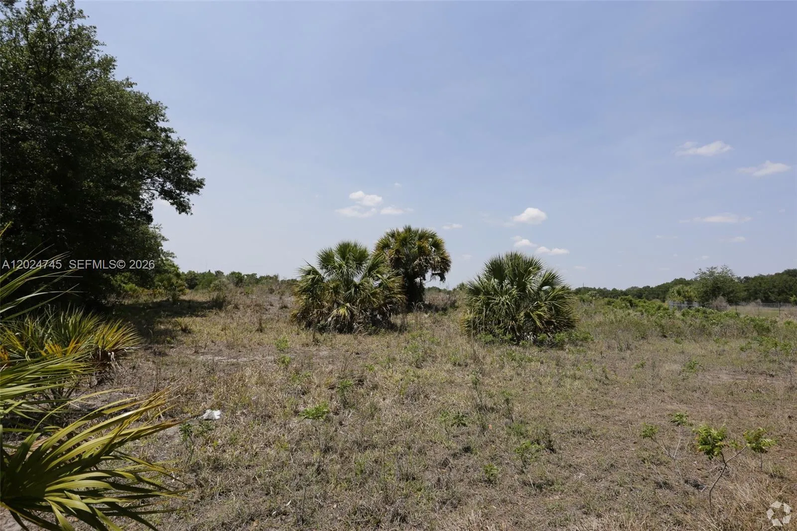 1527 N HIGHWAY 17, Unincorporated Dade County FL 34266