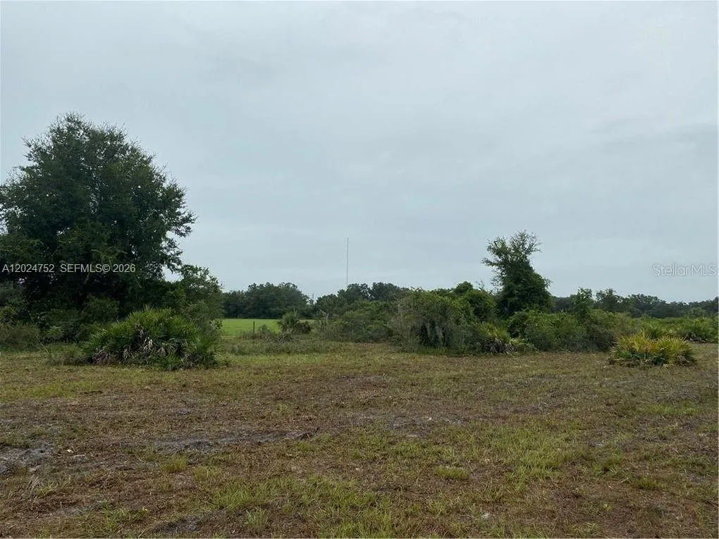 1525 N HIGHWAY 17, Unincorporated Dade County FL 34266