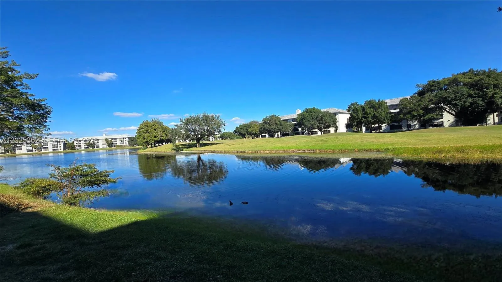 9230 Lagoon Pl # 310, Davie FL 33324