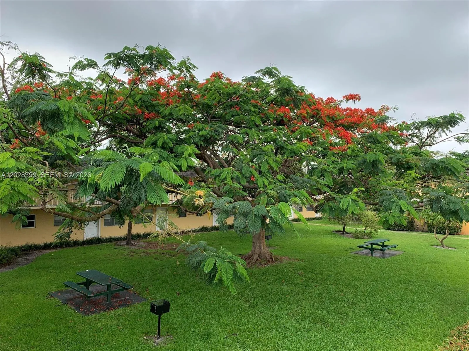 5168 NE 6th Ave # 416, Oakland Park FL 33334